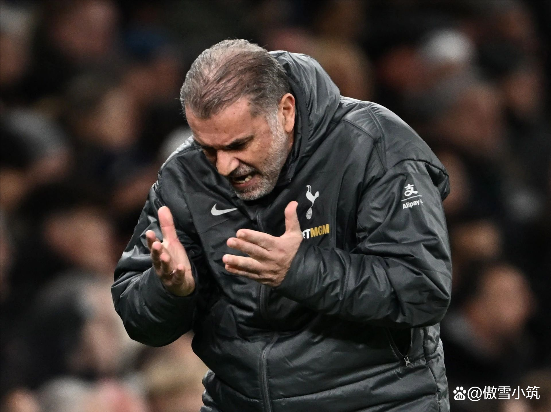 尊龙凯时-热刺首发